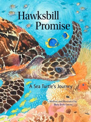 cover image of Hawksbill Promise
